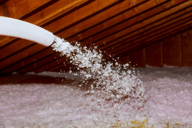 Best Insulation Repair Services  in Rayre, MO