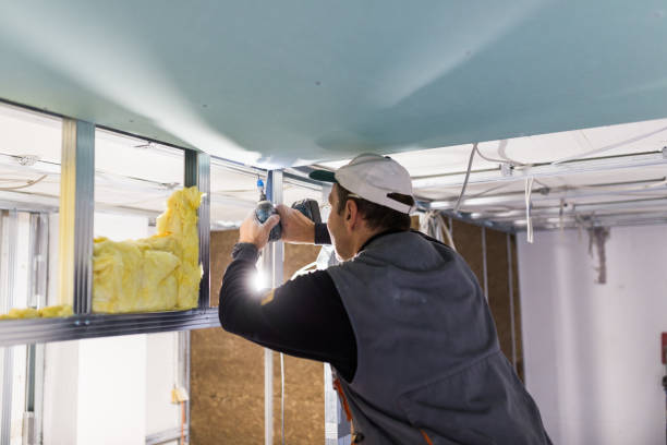 Best Insulation Replacement Services  in Rayre, MO