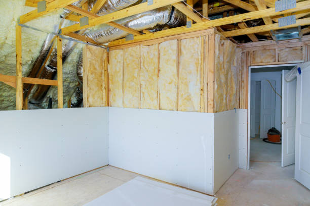 Best Cellulose Insulation  in Rayre, MO