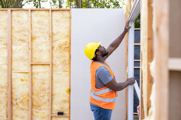 Best Professional Insulation Contractor  in Rayre, MO