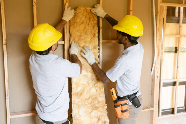 Best Blown-in Insulation  in Rayre, MO
