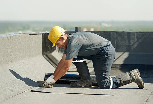 Best Insulation Removal  in Rayre, MO