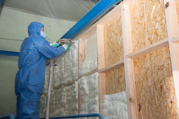 Insulation Repair Services in Raymore, MO