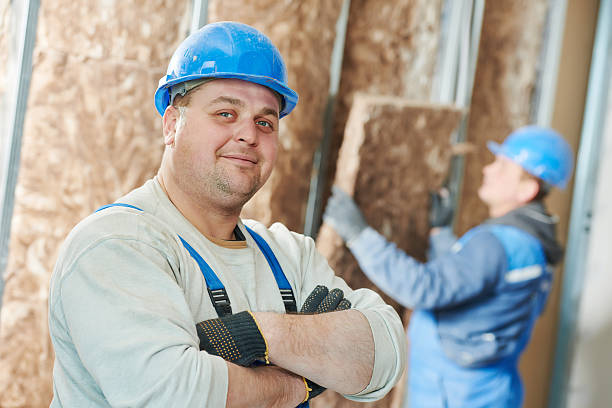 Best Best Insulation Companies  in Rayre, MO