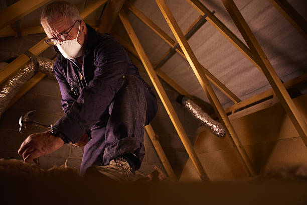 Best Wall Insulation Contractor  in Rayre, MO