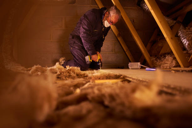 Best Insulation Contractors for Homes  in Rayre, MO