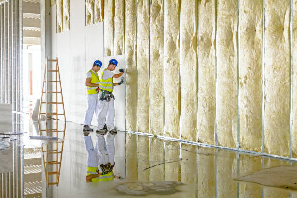 Best Home Insulation Services  in Rayre, MO